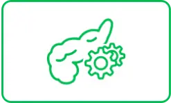 Робота підшлункової залози